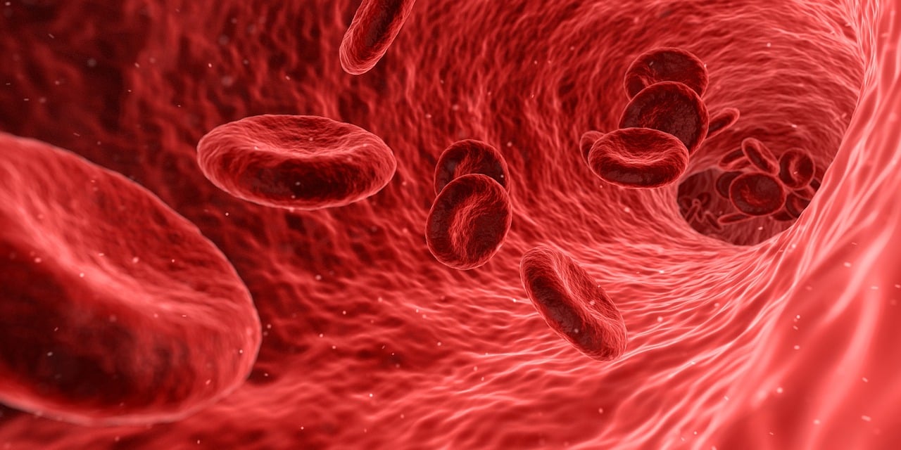 ¿Cuáles son los 8 remedios naturales para la buena salud?