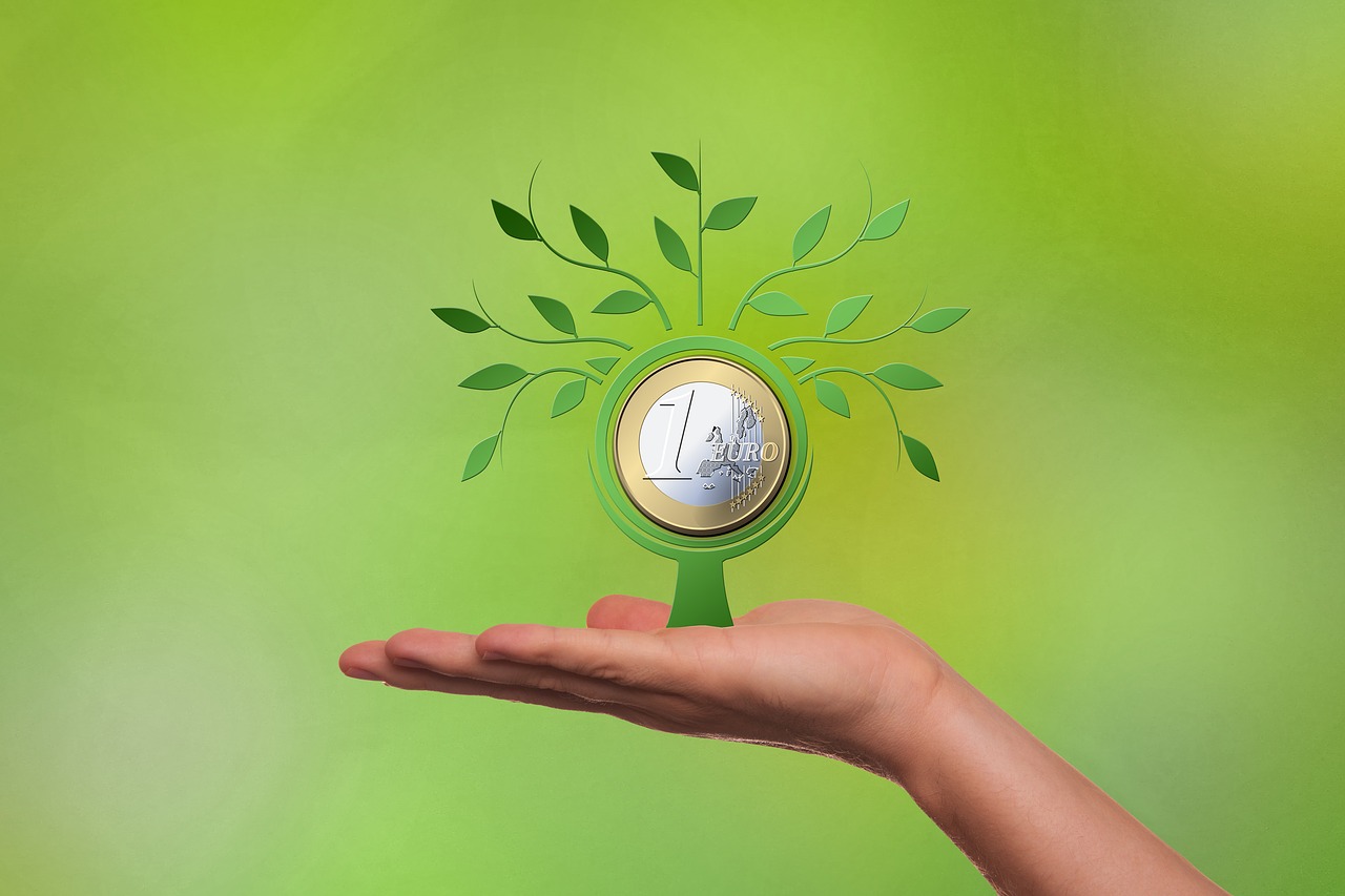 ¿Cuáles son los tipos de financiación?
