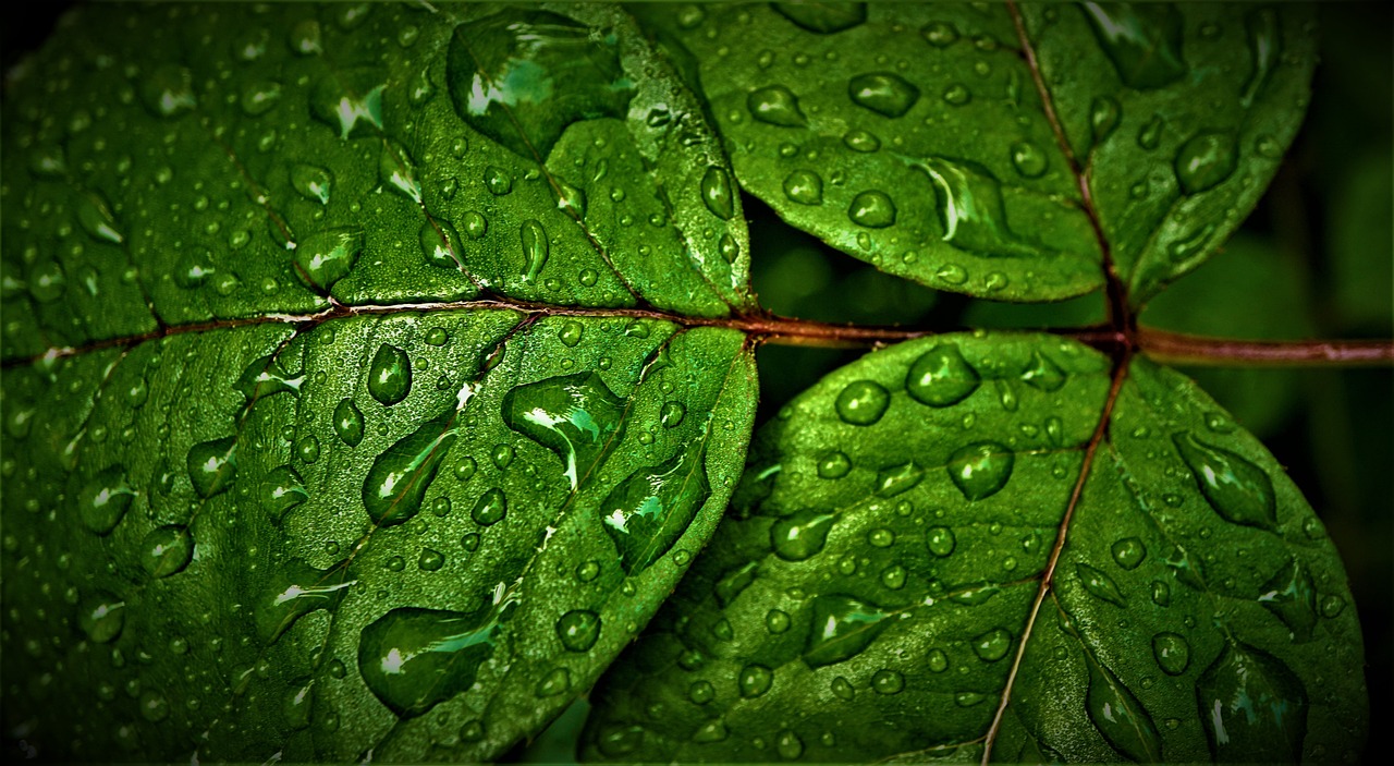 ¿Cuáles son los beneficios del agua oxigenada?