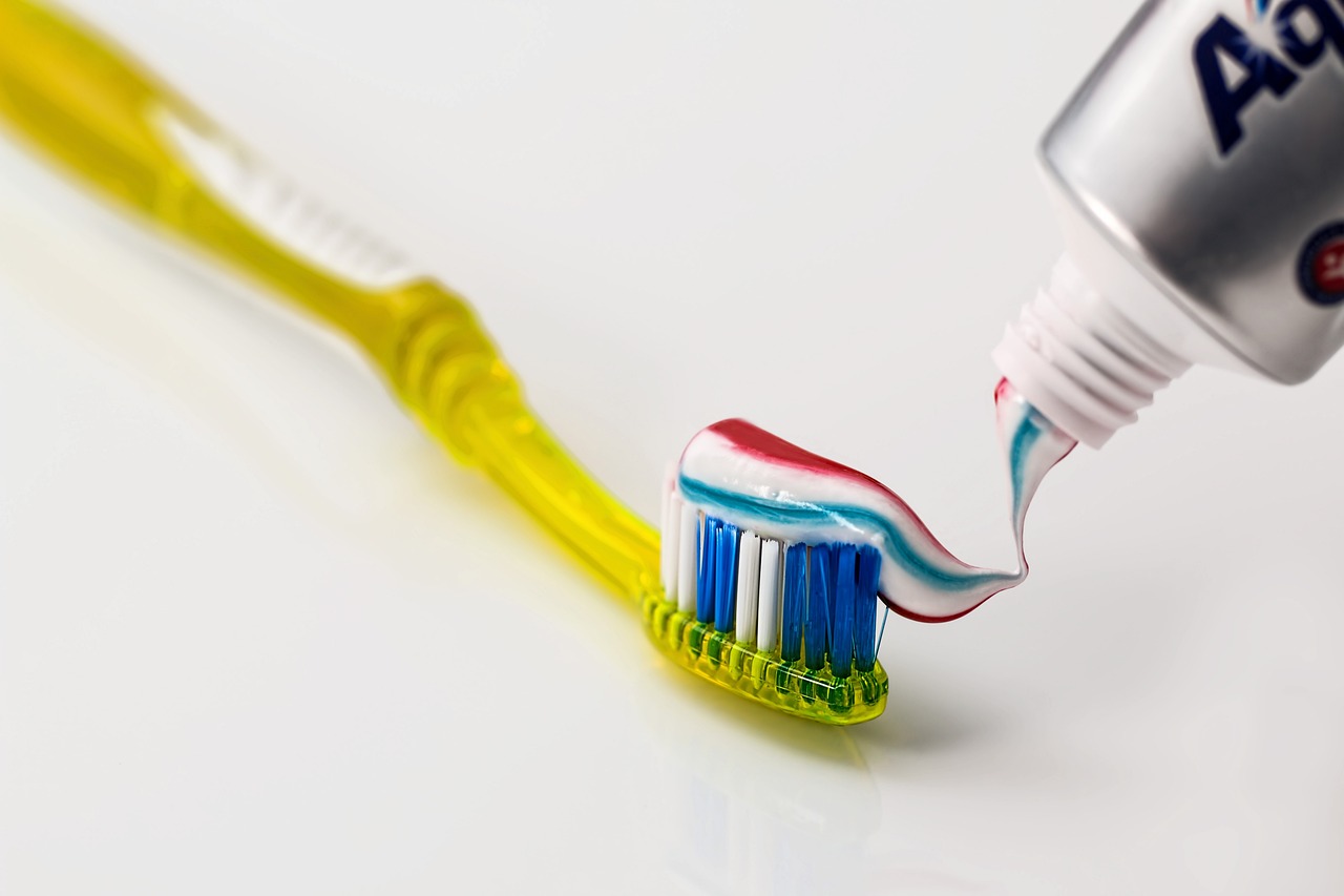 ¿Qué es un vector en odontología?