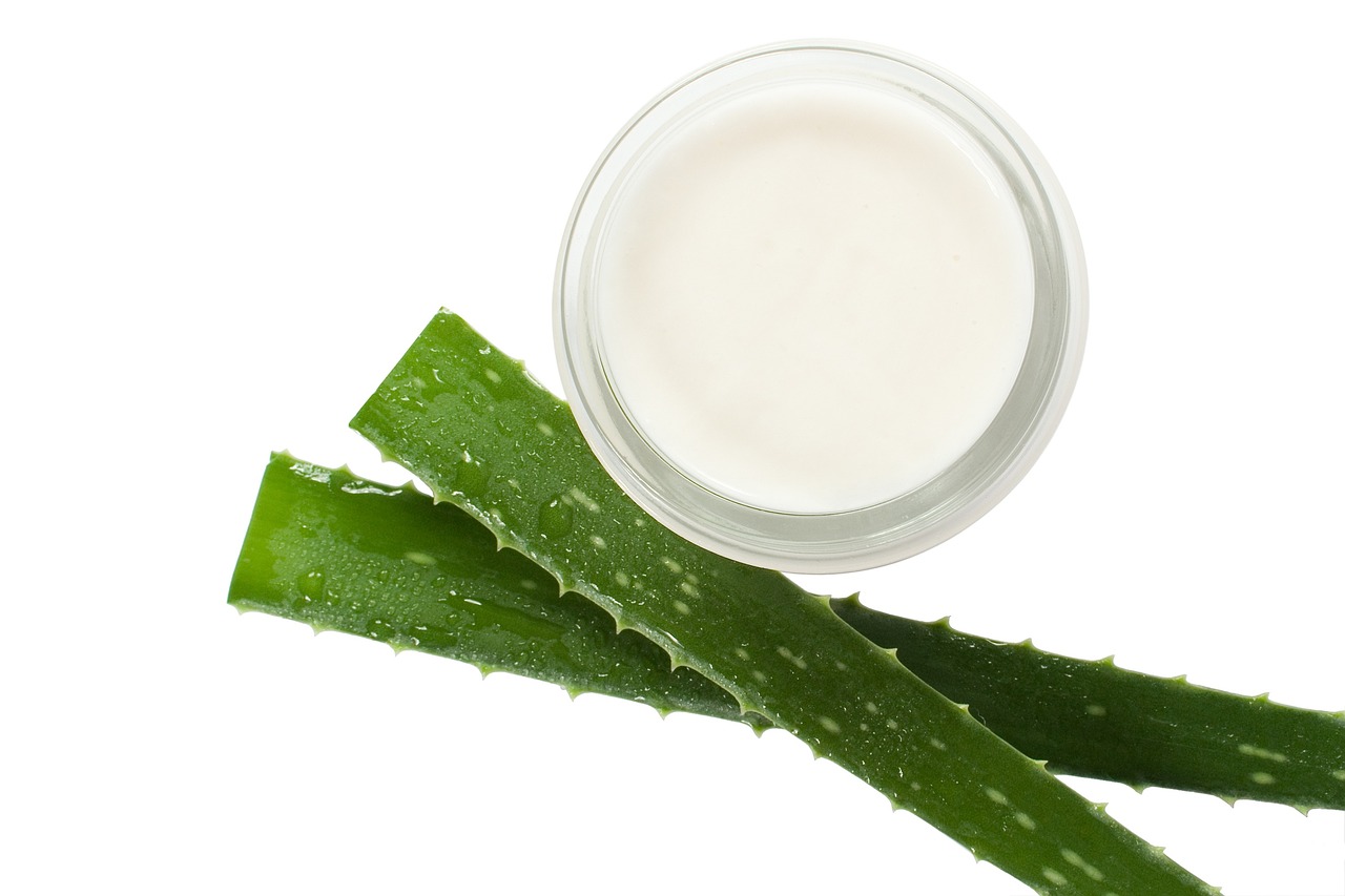 ¿Cómo usar el aloe vera en las encías?
