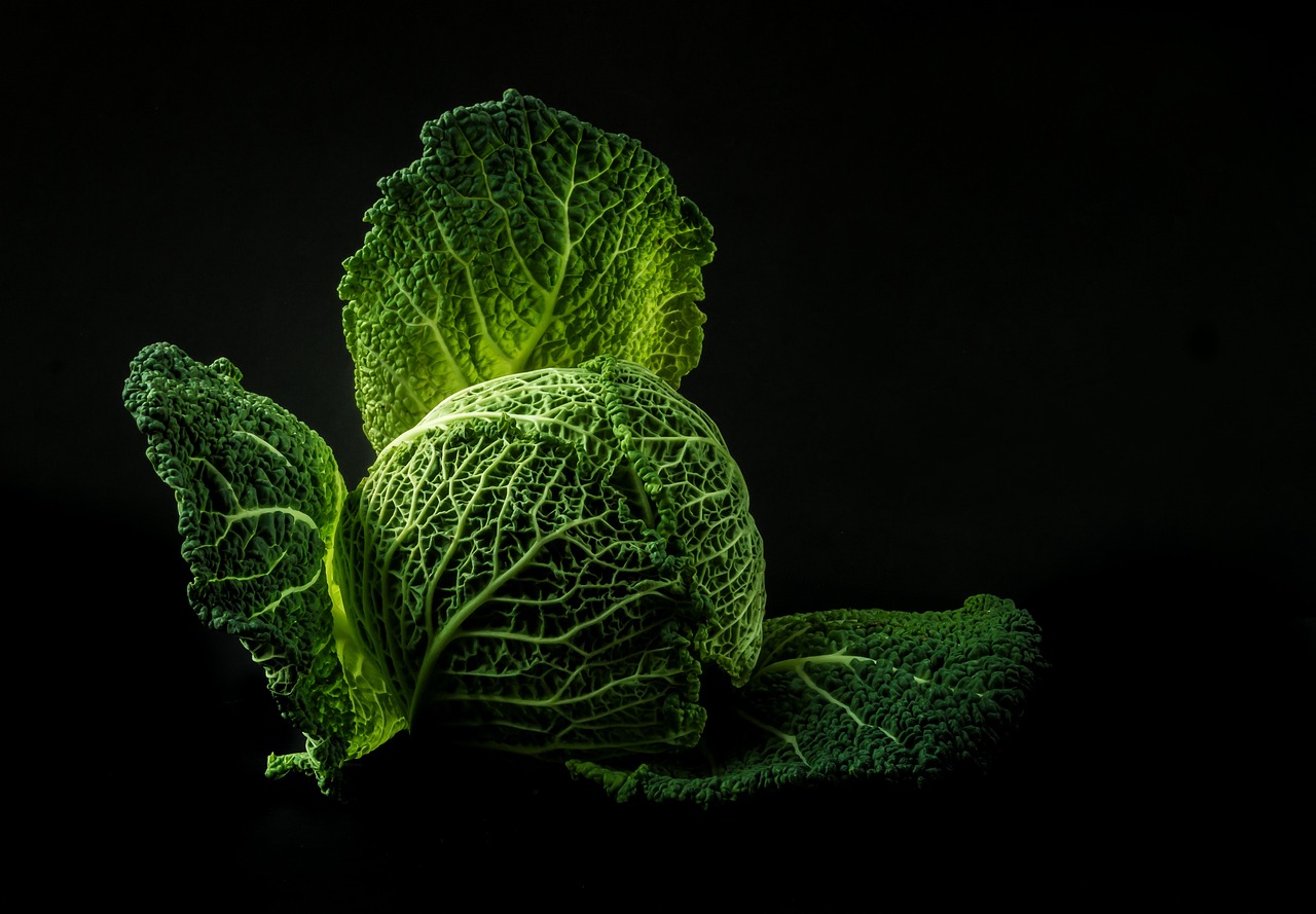 ¿Qué alimentos tienen olor fuerte?