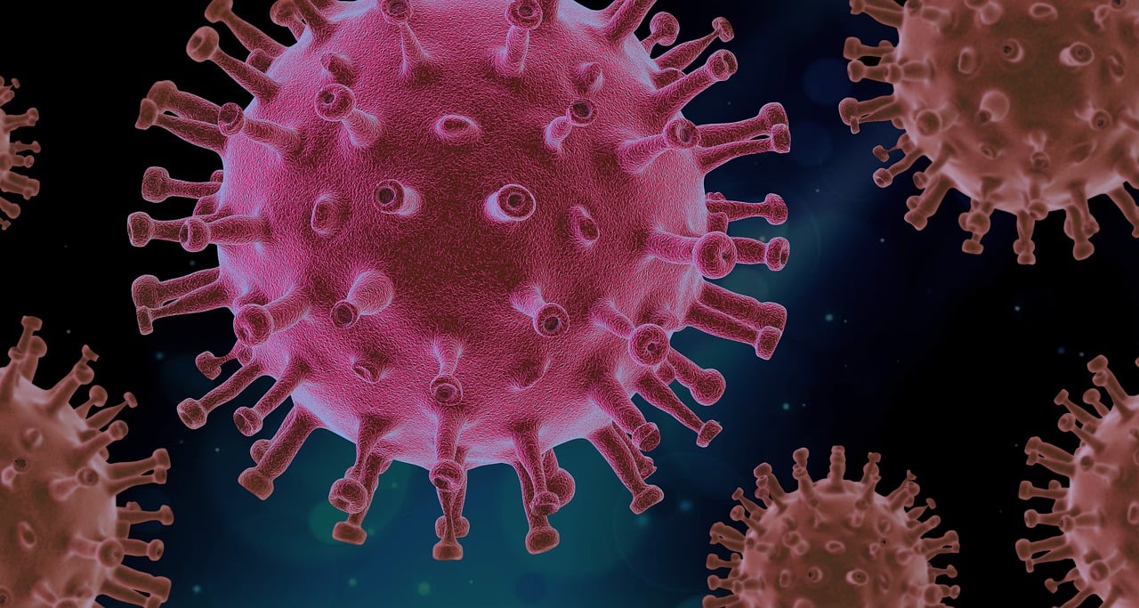 ¿Qué virus causa la periodontitis?