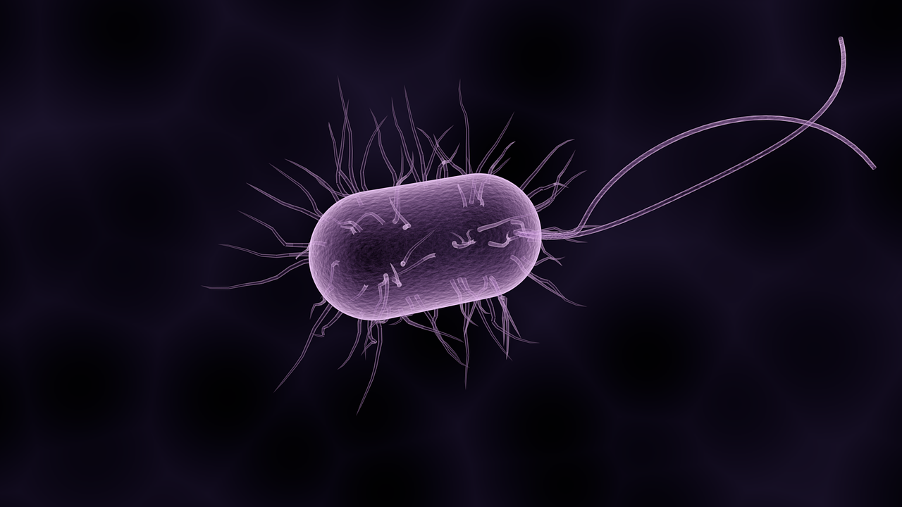 ¿Cómo quitar la bacteria de las encías?
