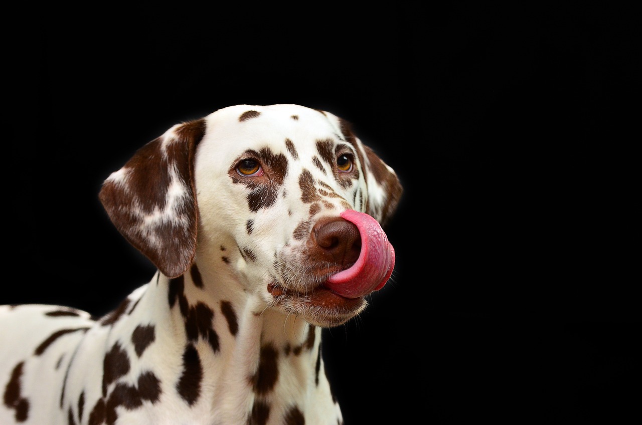 ¿Cuando un bebé tuerce la lengua?