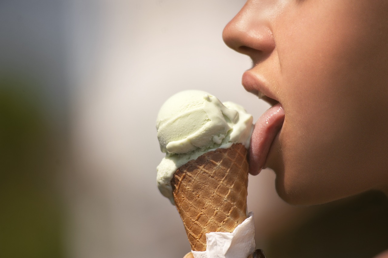 ¿Qué es el sentido del gusto y sus partes?