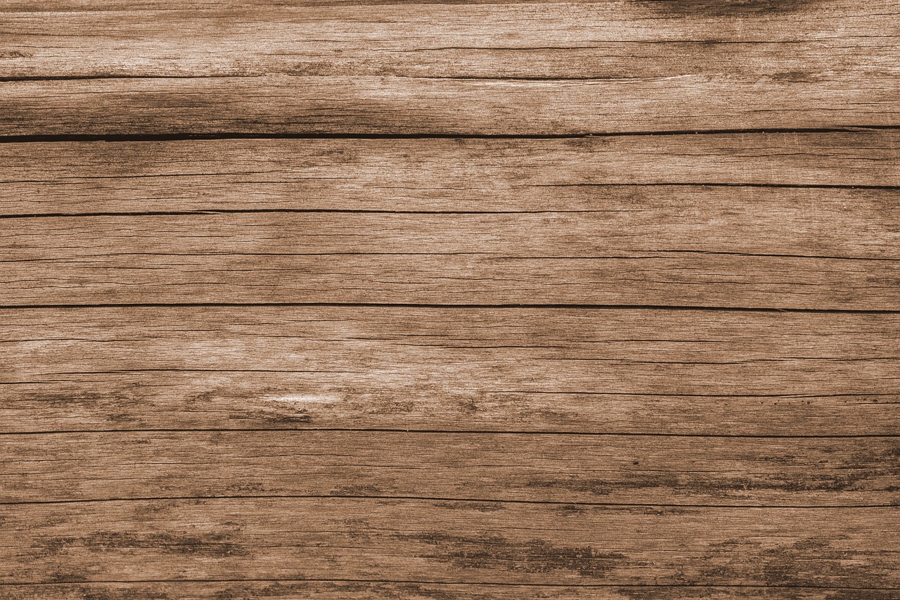 ¿Cuáles son las partes de una estructura?