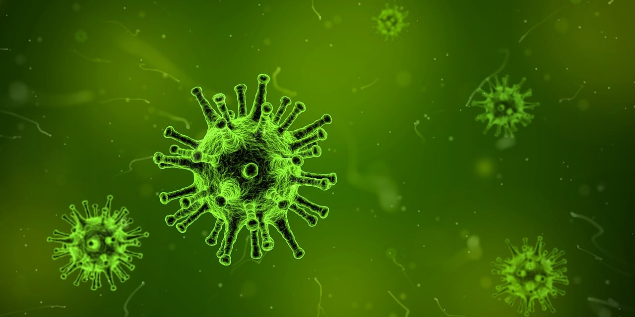 ¿Qué hacer cuando el niño tiene infección en una muela?