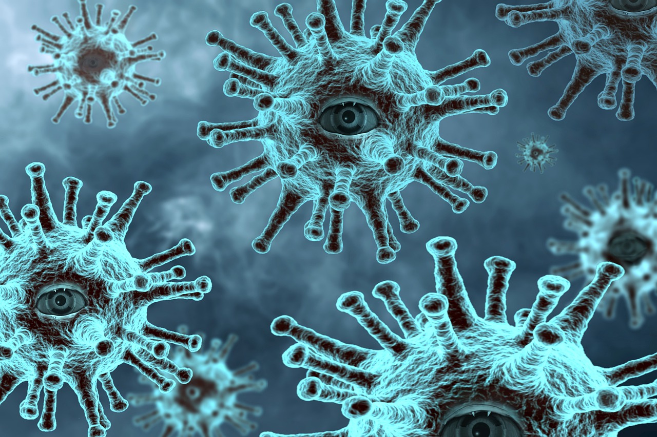 ¿Cuáles son las partes de una bacteria?