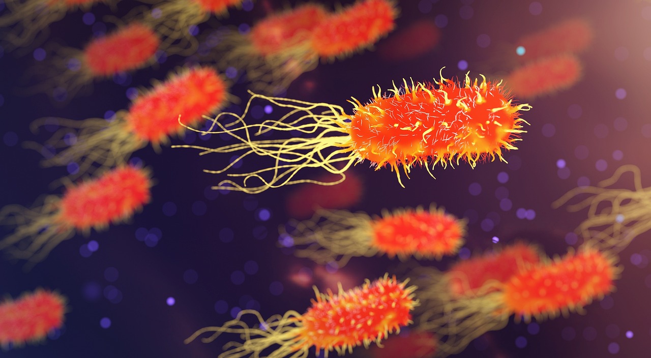 ¿Qué bacteria produce la queilitis?