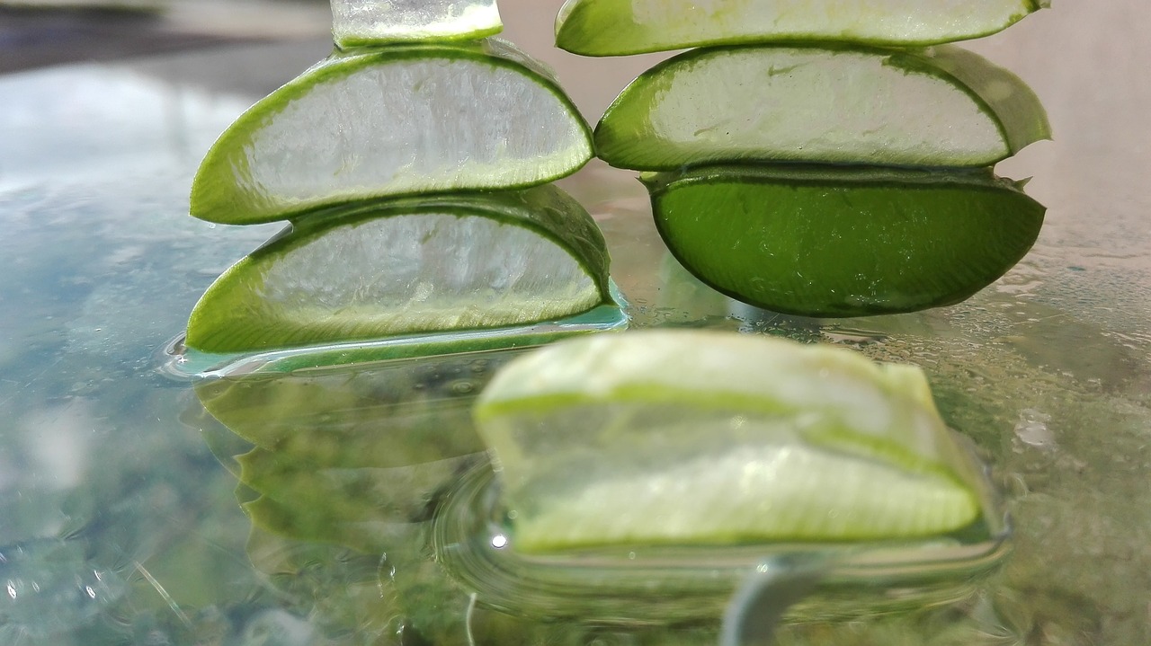 ¿Qué es lo que cura el aloe vera?