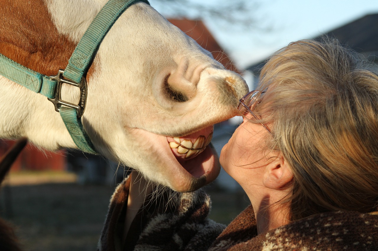 ¿Qué es la sonrisa dental?