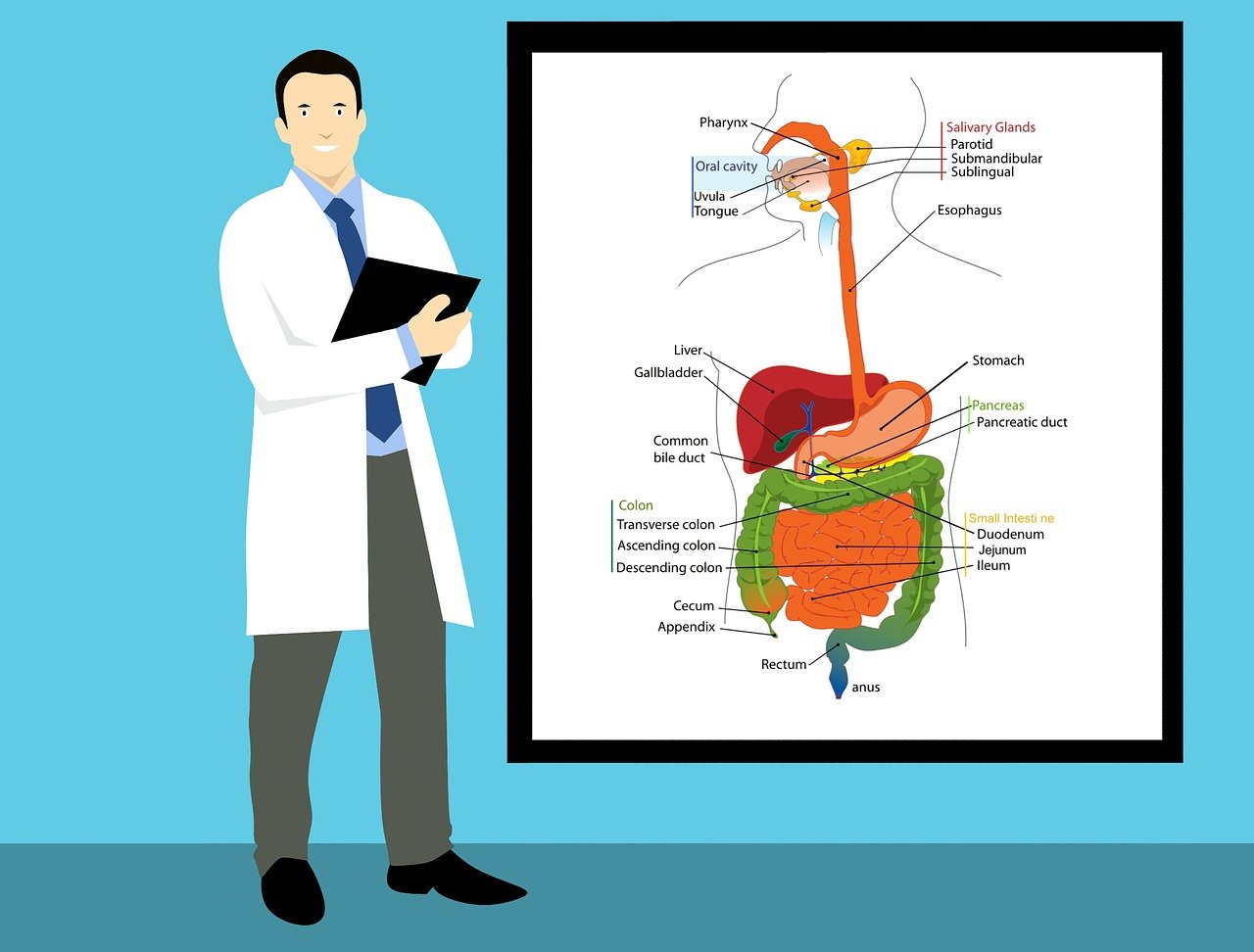 ¿Cuántos años dura la carrera de radiología?