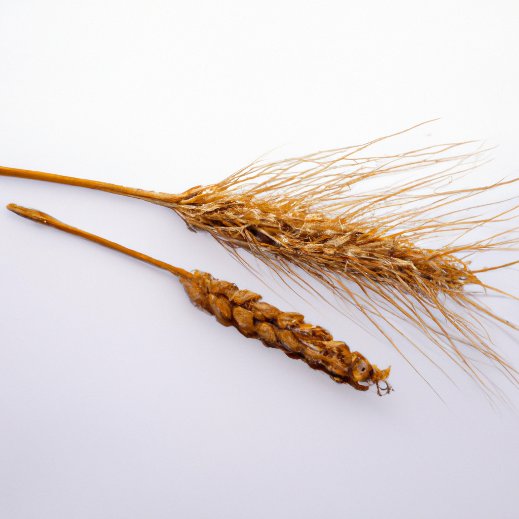 ¿Cómo saber si un grano es por VPH?