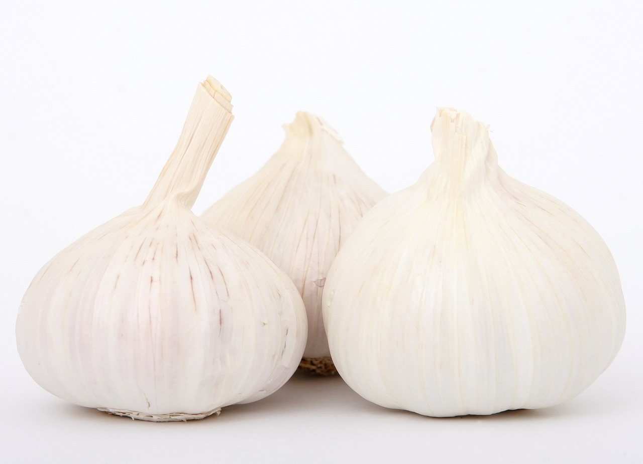 ¿Dónde se ubica cada sabor de la lengua?