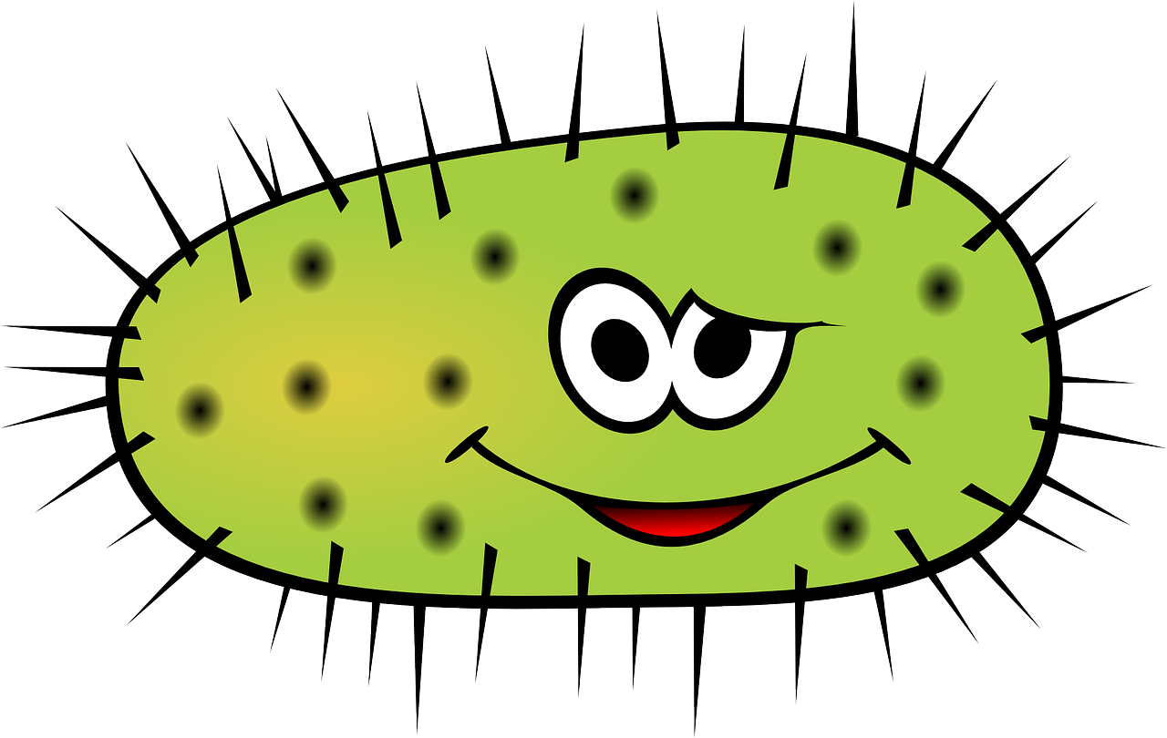 ¿Qué son bacterias y cuál es su función?