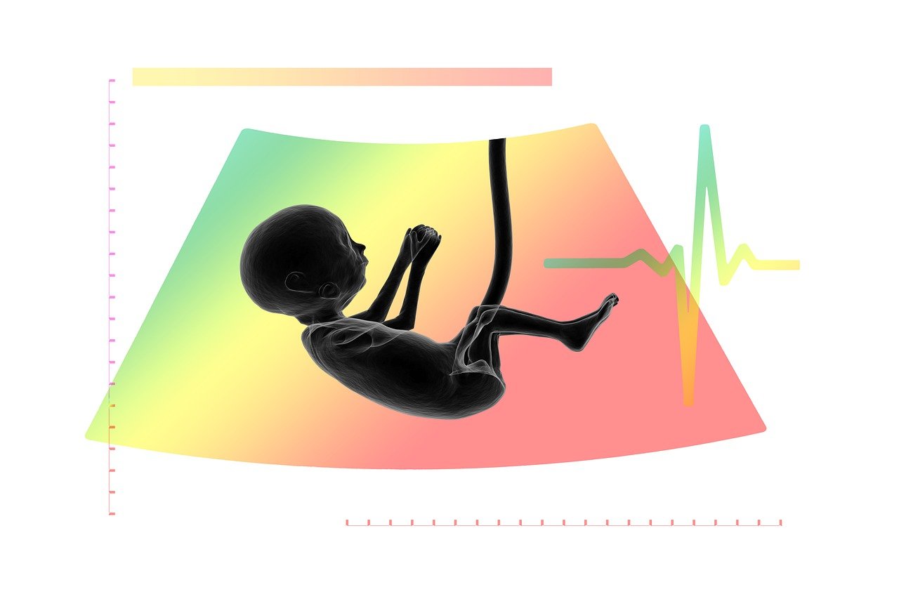 ¿Cuál es la función del ultrasonido en fisioterapia?