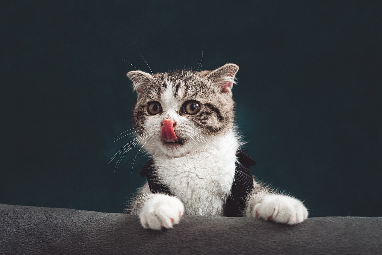 ¿Qué pasa cuando se pela la lengua?