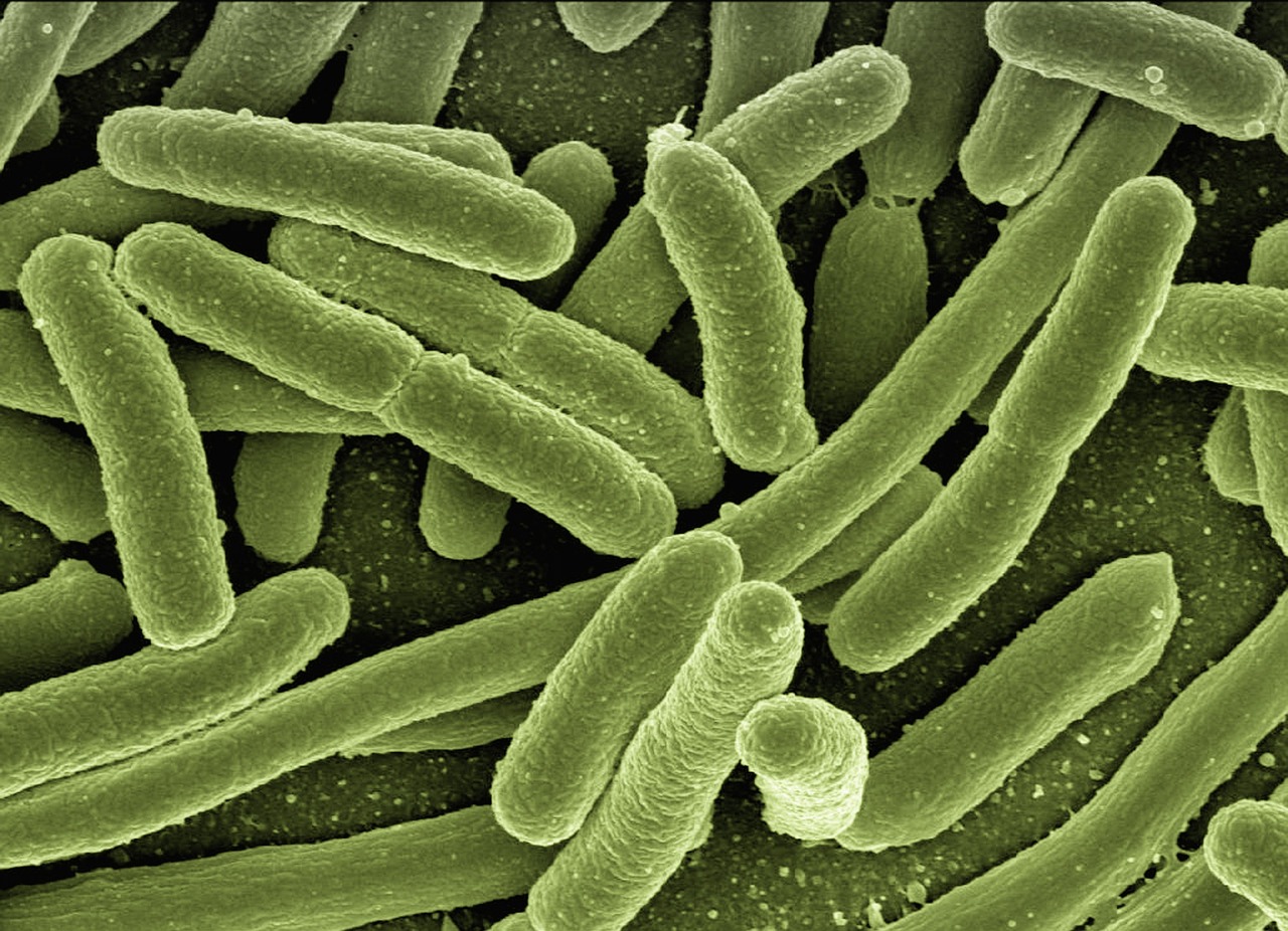 ¿Qué bacterias provocan la caries?