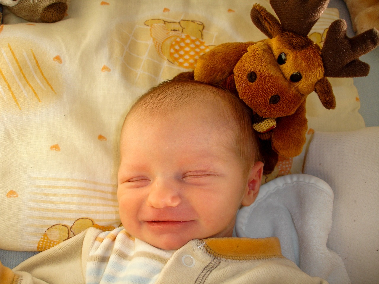 ¿Qué son los dientes neonatales?