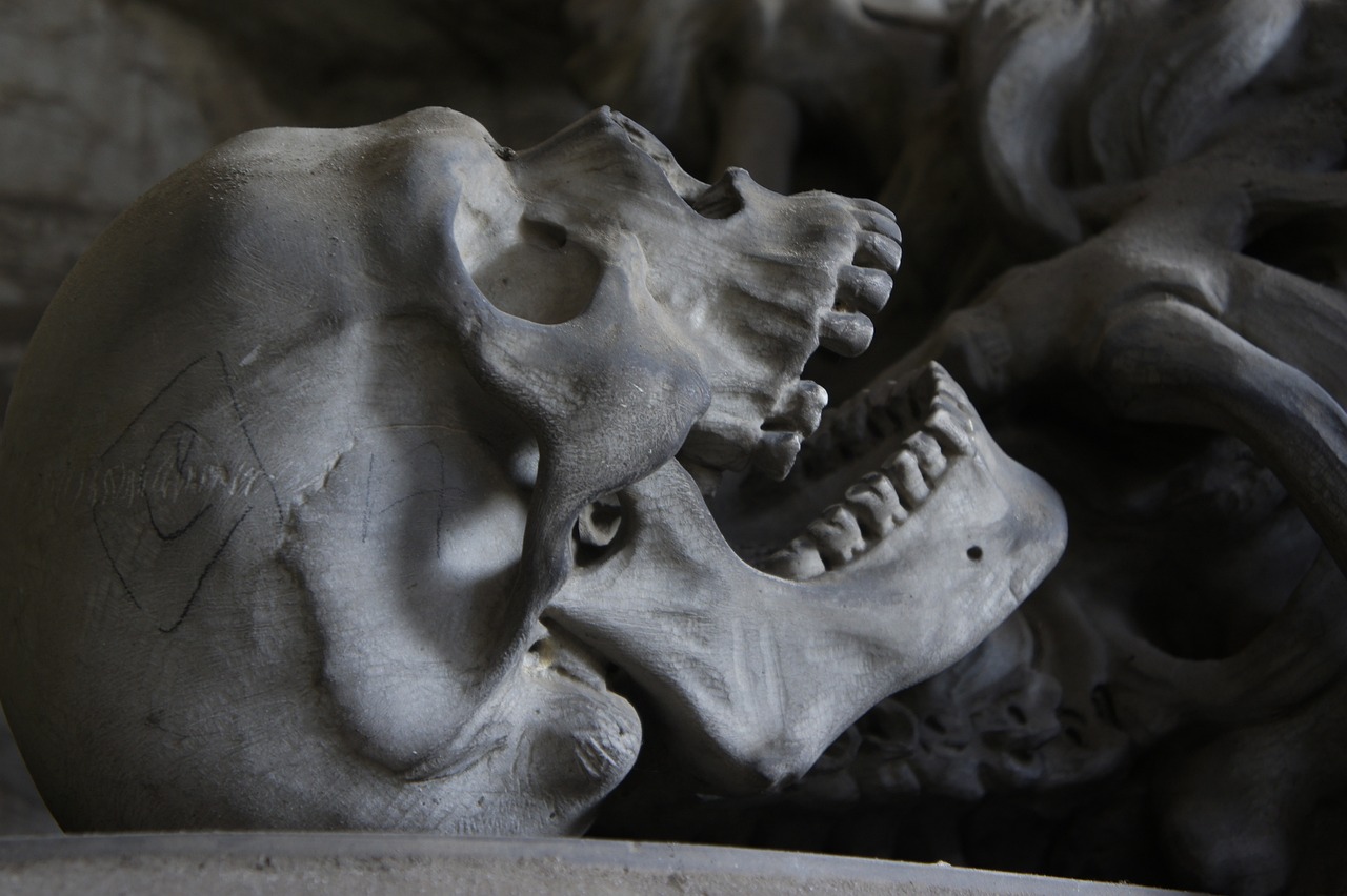 ¿Qué puede pasar si te muerde un humano?