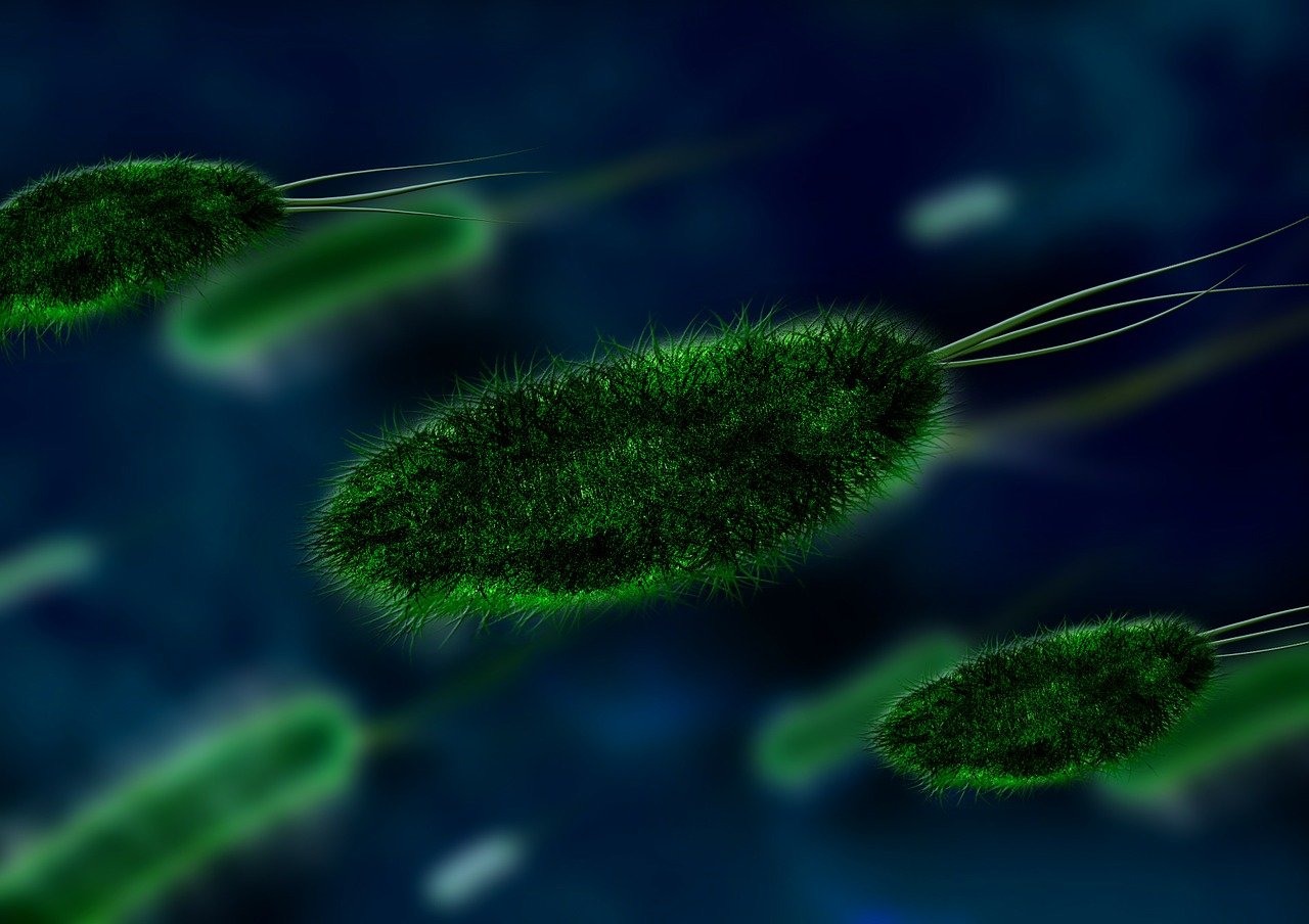 ¿Qué virus provoca anginas?
