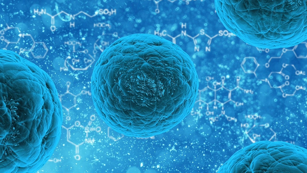 ¿Qué bacterias encontramos en nuestra boca?