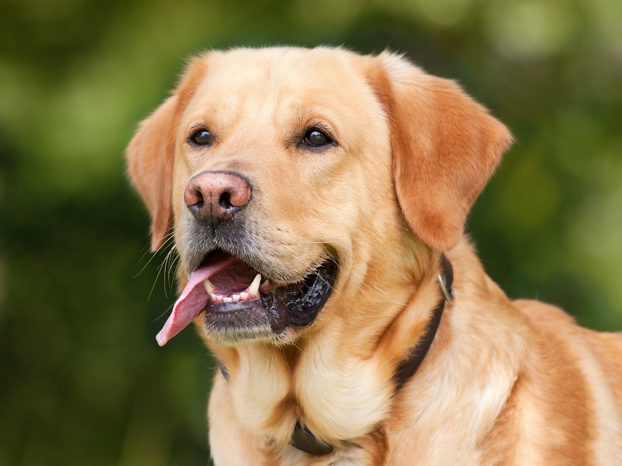 ¿Por qué siento que me pica la lengua?