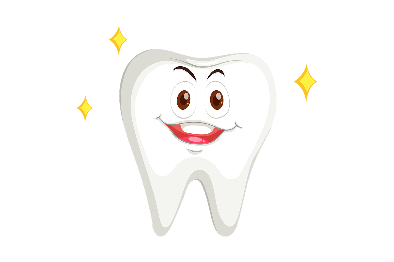 ¿Qué es aditamentos en Odontologia?