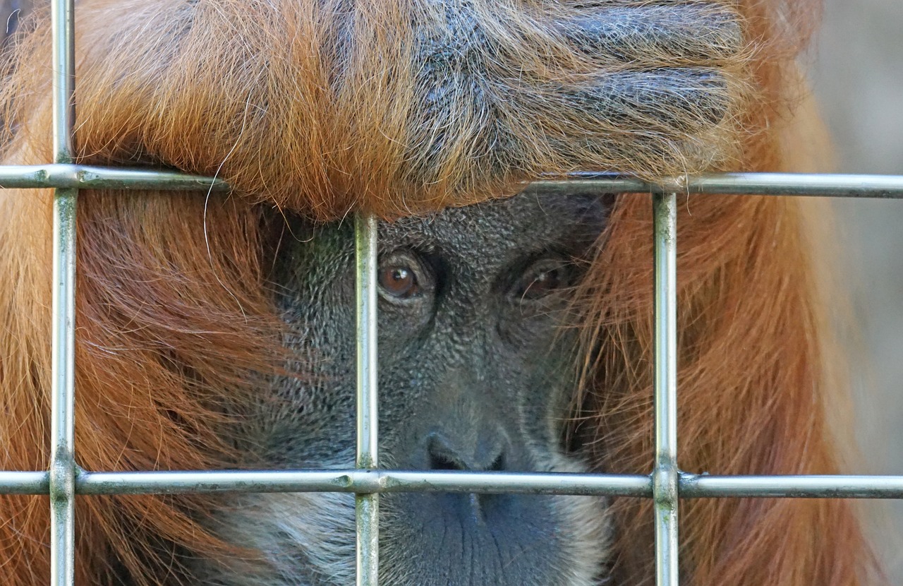 ¿Por qué le duele la cara a un niño?