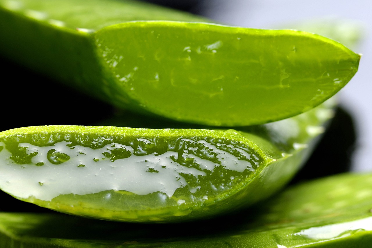 ¿Cómo se usa el aloe vera para los dientes?