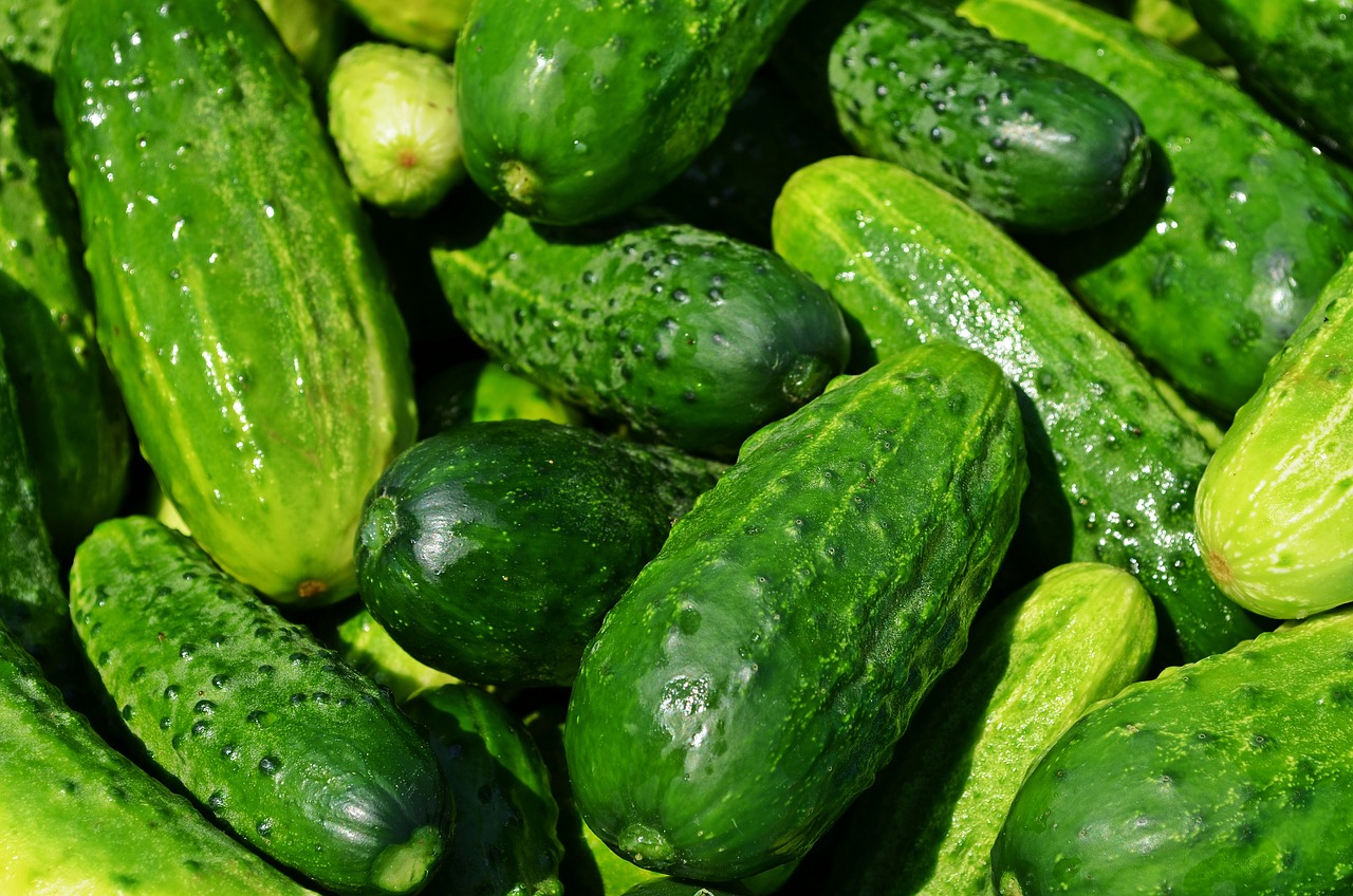 ¿Cuáles son los alimentos que no debemos comer?