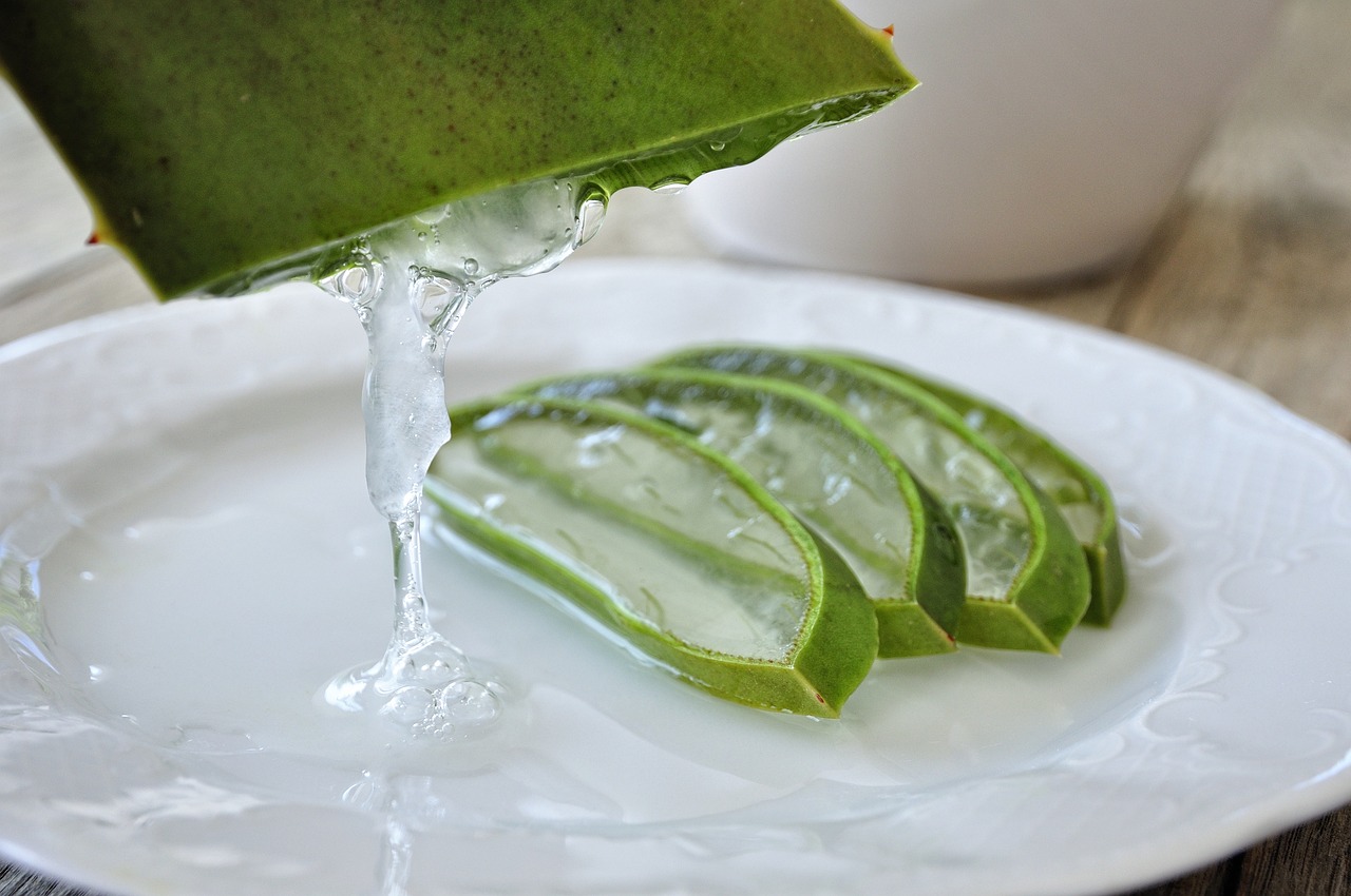 ¿Cómo usar el aloe vera para la gingivitis?